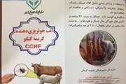 توزیع 10 هزار بروشور آموزش راه های پیشگیری از ابتلا به تب کریمه کنگو در جنوب کرمان
